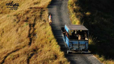 Perempuan Sumba Bernama Marlina