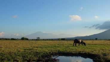 TRIP : Terbalut Eksotisme Baluran