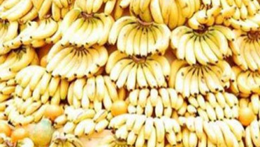 INVESTASI AGROINDUSTRI : Pemkab Blitar Janjikan Kemudahan