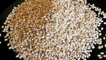 Bahan Alami yang Satu ini Dapat Membantu Mengobati Anemia