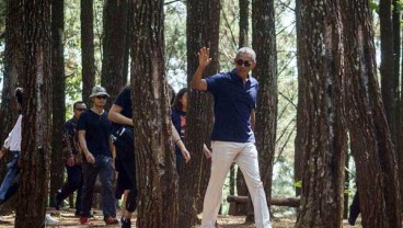 Pengunjung Hutan Pinus yang Dikunjungi Obama Dilindungi Asuransi