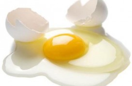 Penderita 3 Penyakit Berikut Dilarang Makan Telur Mentah