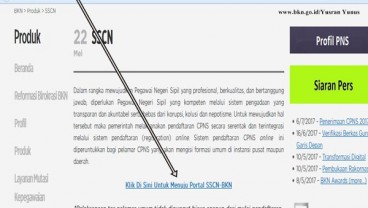 LOWONGAN CPNS 2017 : Harap Sabar, Portal https://sscn.bkn.go.id Belum Diaktifkan