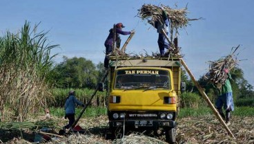 Omzet Kurang Rp4,8 Miliar Petani Tebu Dibebaskan dari PPN 10%