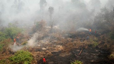 EKOSISTEM GAMBUT : 910.933 Ha Lahan Pengganti Disiapkan