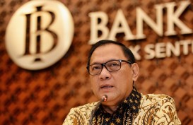 Bank Indonesia Dorong Kalimantan Lakukan Diversifikasi