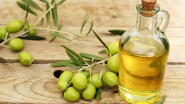 Spanyol dan Italia Dilanda Kekeringan, Produksi Minyak Zaitun Terancam