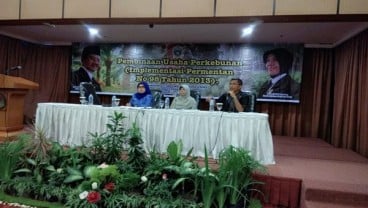 Baru 15% Perkebunan di Sumut Kantongi ISPO