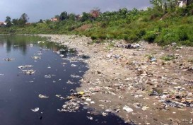 Air Sungai Bekasi Hijau Kebiruan, Banyak Bangkai Ikan Mengambang