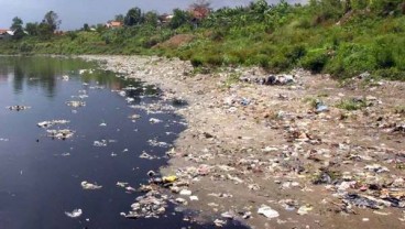 Air Sungai Bekasi Hijau Kebiruan, Banyak Bangkai Ikan Mengambang