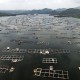 Waduk Jatiluhur Ditargetkan Bebas Keramba Tahun Depan