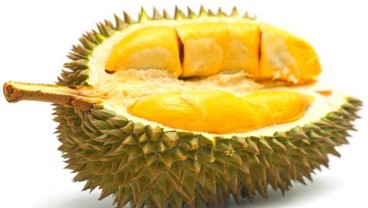 Rasa Durian Bikin Ilmuwan Amerika Terkejut