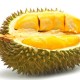 Rasa Durian Bikin Ilmuwan Amerika Terkejut