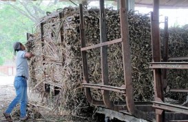 PRODUKTIVITAS TEBU : Pemerintah Siapkan Rp270 Miliar