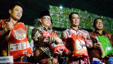 Beras Premium Oplosan : Regulasi Belum Mengatur Penuh