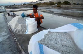 Industri Pengolah Garam Mulai Rontok