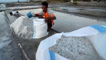 Industri Pengolah Garam Mulai Rontok