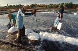 Pemerintah Bahas Penyatuan Jenis Garam Konsumsi dan Industri