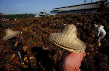 Kolombia Tertarik Dongkrak Kerja Sama Pertanian dengan RI