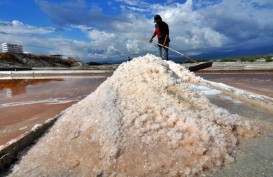 Jatim Ingin Impor Garam