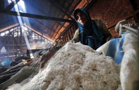 Pemerintah Buka Keran Impor Bahan Baku Garam Konsumsi 75.000 Ton
