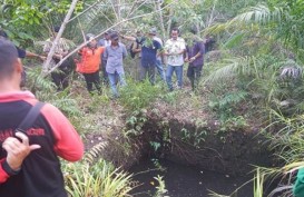 PENGENDALIAN KARHUTLA: Bersinergi Menjaga Manfaat Hutan