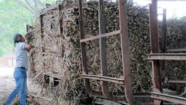 Biaya Produksi Meningkat, Petani Tebu Minta Harga Acuan Gula Naik