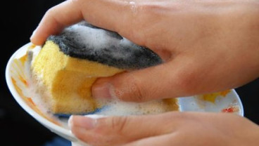 Awas, di Spons Cuci Piring Ada Jutaan Bakteri Mematikan