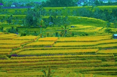 Mulai 2019 Seluruh Bidang Tanah di Bali Miliki Sertifikat