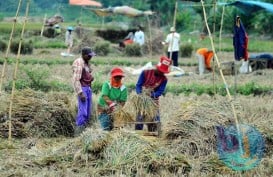 Alsintan Diklaim Tingkatkan Produktivitas Pertanian