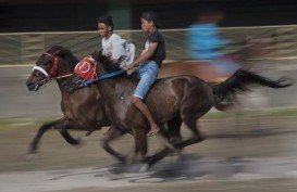Balap Kuda Tradisional Dongkrak Kunjungan Turis ke Kabupaten TTU
