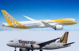 EKSPANSI MASKAPAI MURAH : Scoot Terbangi Palembang Mulai Oktober