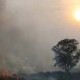 BNPB Laporkan 6 Titik Api Muncul di Jawa Tengah