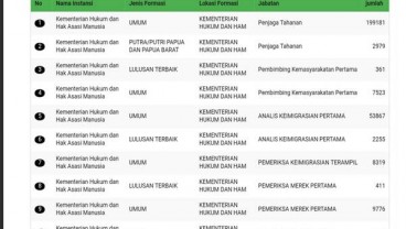 PENDAFTARAN CPNS: Pelamar Bidik Jabatan Yang Peluang Lulusnya Besar