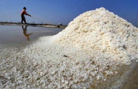 KELANGKAAN GARAM: PT Garam Segera Gelontorkan 8.000 Ton Garam ke IKM