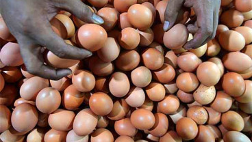 BELEID PENDAFTARAN DISTRIBUTOR: Respons Pebisnis Masih Sepi