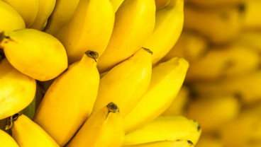 Saat Lelah, Sebaiknya Konsumsi Makanan Alami Ini
