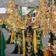 Jember Fashion Carnaval 2018 Gunakan APBN