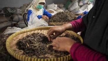 Swiss German University Bentuk Perpustakaan Obat Tradisional Pertama di Indonesia