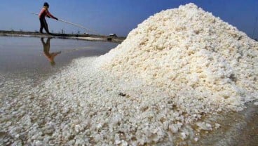 Kapasitas Produksi Garam Ditarget Naik 500.000 Ton