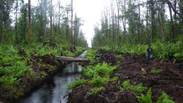 RESTORASI GAMBUT: BRG dan Kalsel Sepakati 105.023 Ha