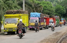 HARGA GULA TANI JATUH: Solusi Segera Disiapkan