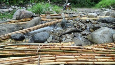 KOMODITAS ROTAN : Rotan, Riwayatmu Kini