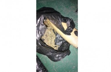 Petugas Bandara Kualanamu Amankan Paket "Ikan Teri" Ganja Seberat 3 Kg