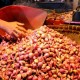 Bulog Dinilai Perlu Segera Beli Bawang Merah Petani