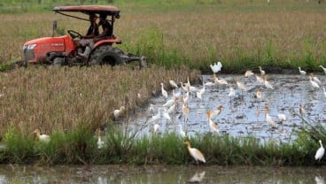 ALAT MESIN PERTANIAN : Peluang Kerja Sama Lisensi Terbuka