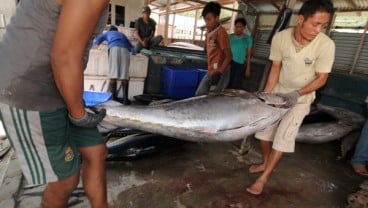 PABRIK PENGOLAHAN IKAN : Korporasi Jepang Relokasi Ke Indonesia