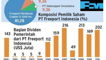 Perjalanan Freeport Indonesia di Grasberg