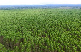 PT. Toba Pulp Lestari, Tbk. Menyayangkan Sikap LSM Asing Mengambil Keuntungan Terkait Tanah Adat di Indonesia