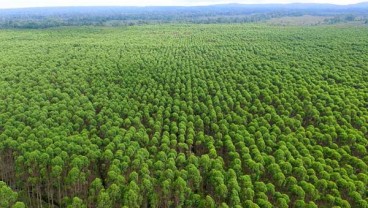 PT. Toba Pulp Lestari, Tbk. Menyayangkan Sikap LSM Asing Mengambil Keuntungan Terkait Tanah Adat di Indonesia